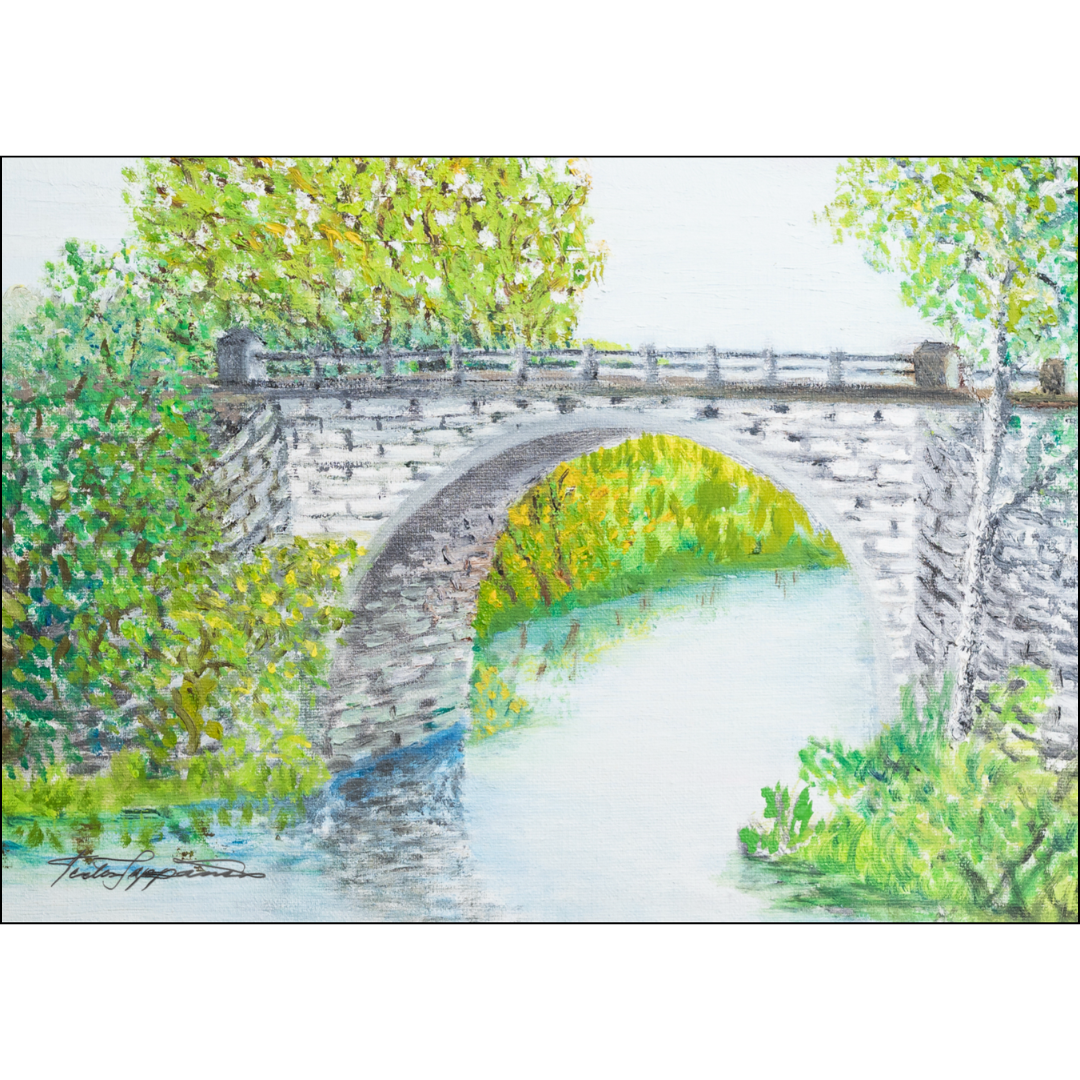 Terttu Seppänen Collection Postikortti