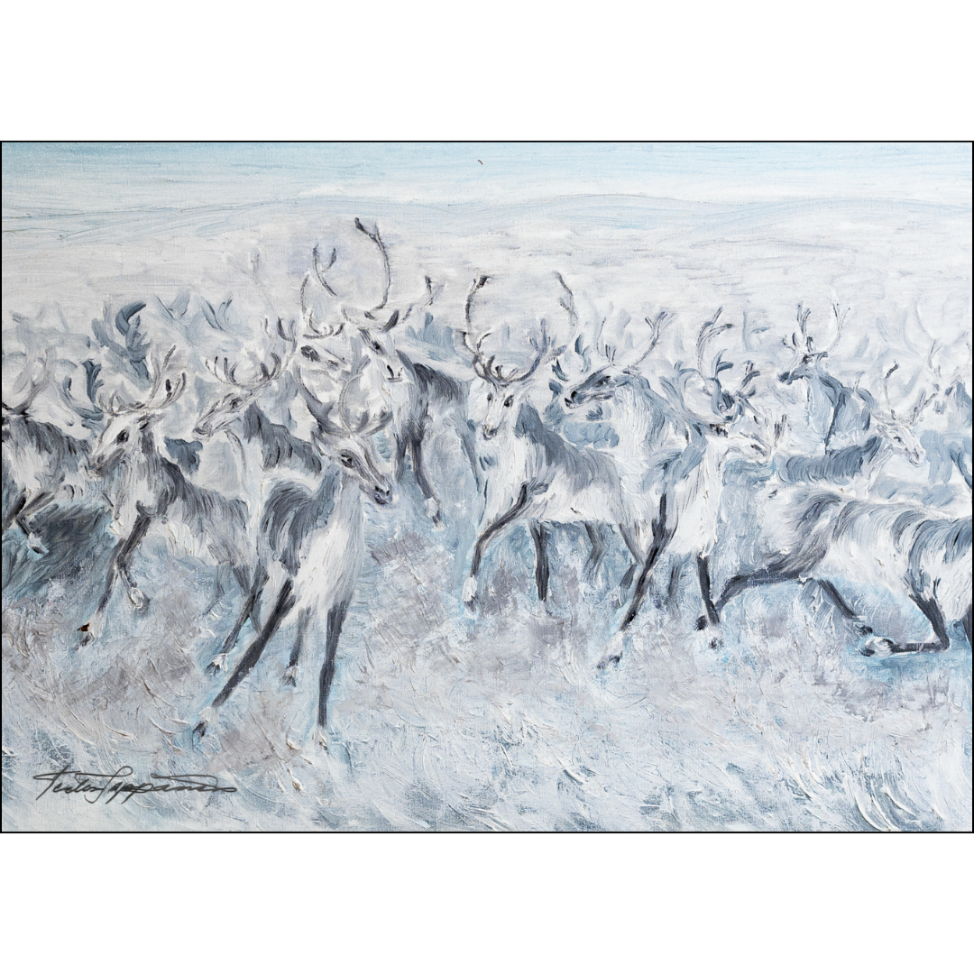 Terttu Seppänen Collection Postikortti