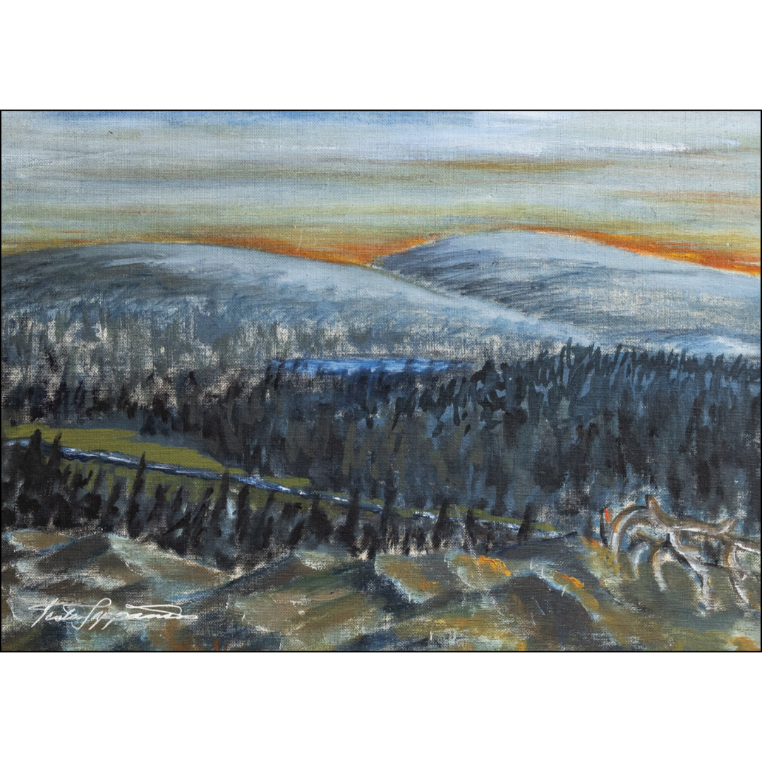 Terttu Seppänen Collection Postikortti