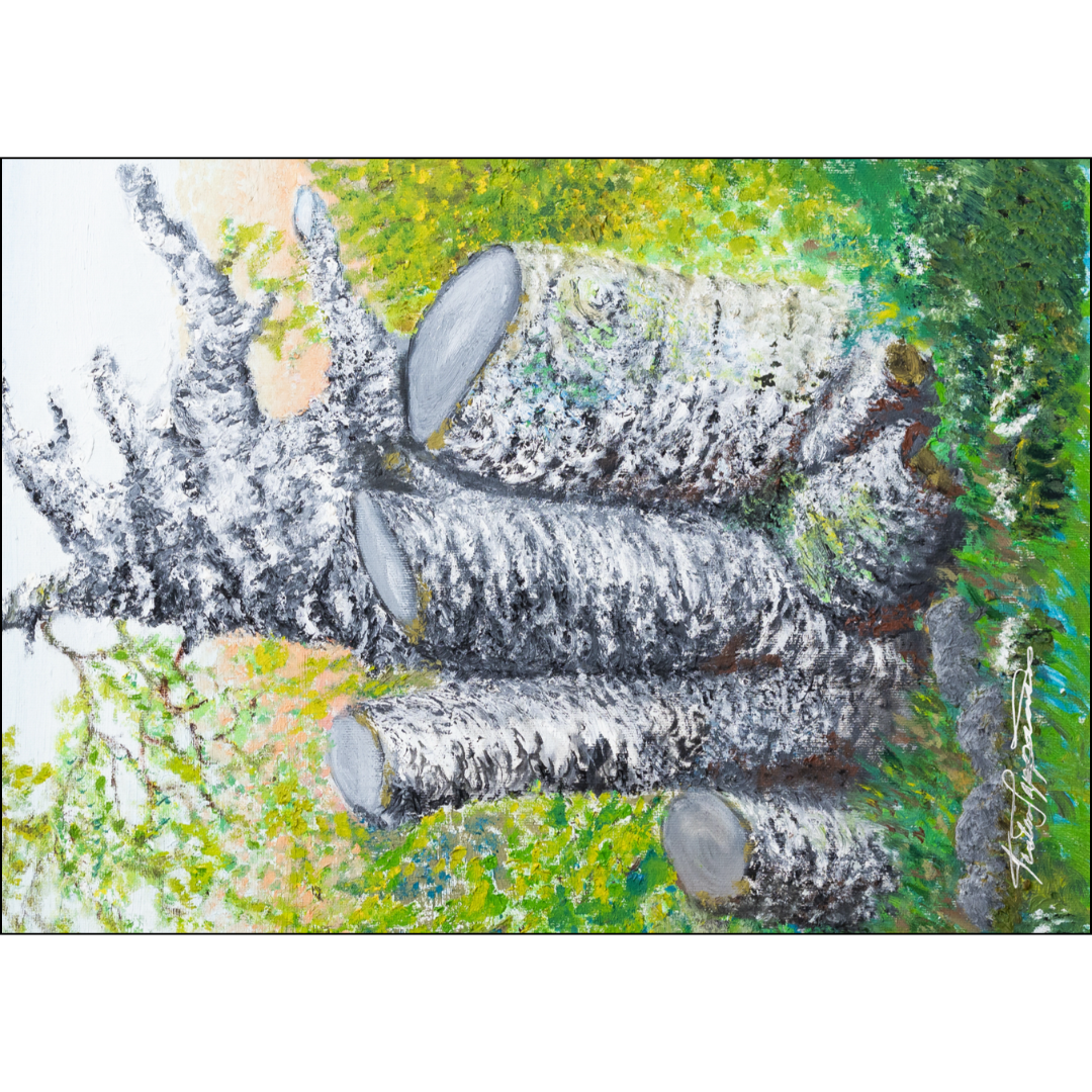 Terttu Seppänen Collection Postikortti