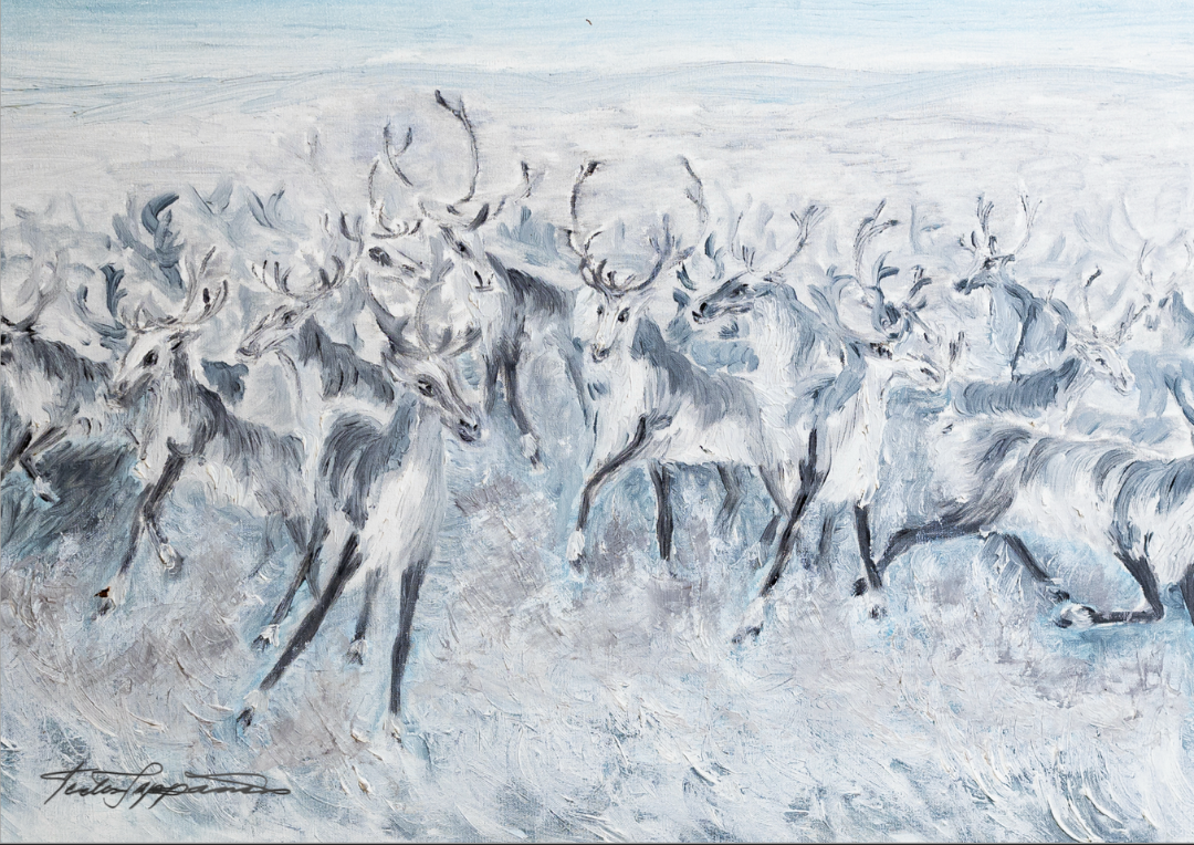 Terttu Seppänen Collection Magneetti