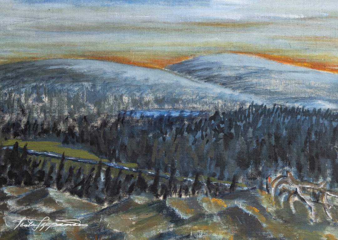 Terttu Seppänen Collection Magneetti