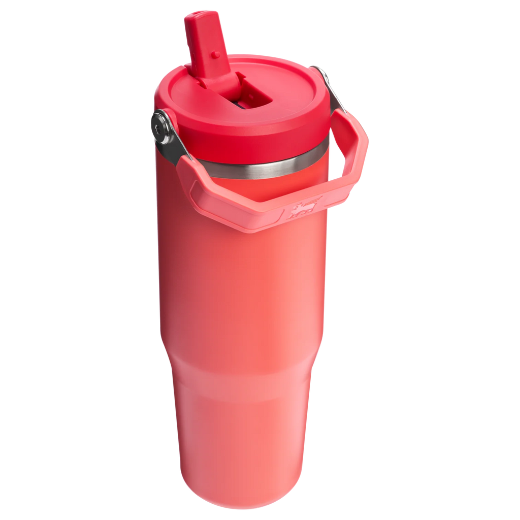 Stanley IceFlow Flip Straw 2.0 Tumbler 0.89L